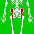 Thumbnail for version as of 12:58, 3 August 2013