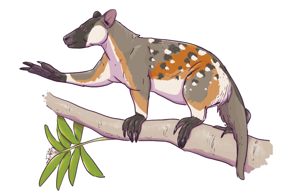 File:Life reconstruction of Diplobune minor.png