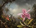 Thumbnail for version as of 19:52, 1 October 2017