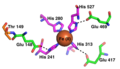 Thumbnail for version as of 01:02, 1 March 2016