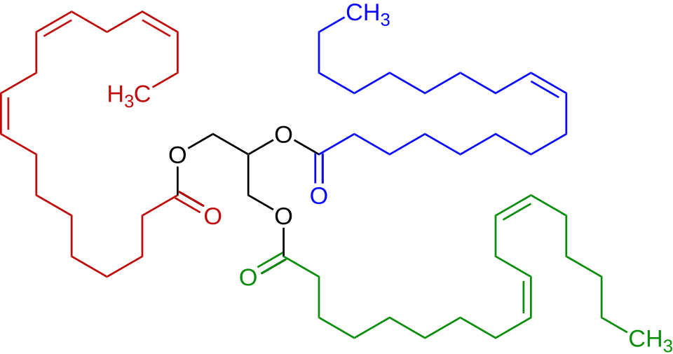 File:Triglyceride unsaturated Structural Formulae V2.svg