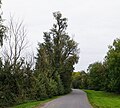 Thumbnail for version as of 15:06, 23 March 2016