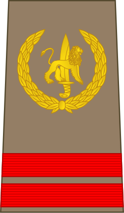 File:02-ROCongo Army-CPL.svg