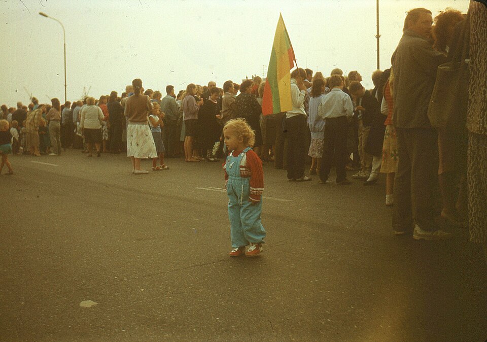 File:Baltijos kelyje ties Šeškine.jpg
