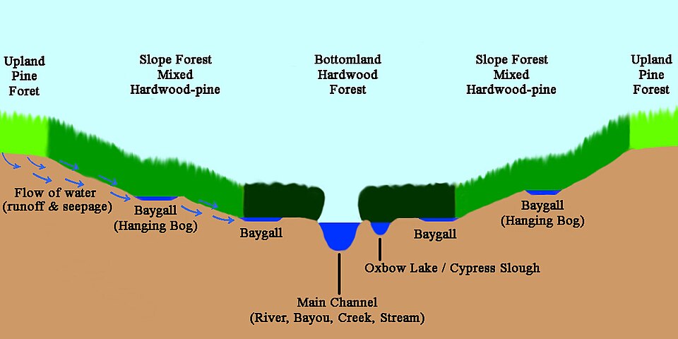 File:Baygall.jpg