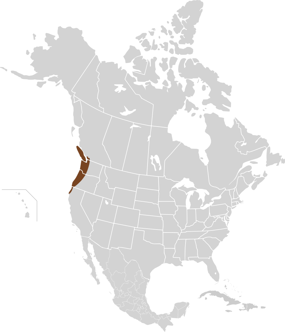 File:Microtus townsendii map.svg