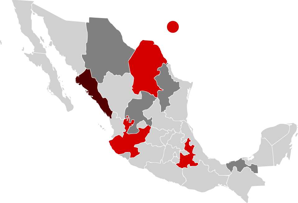 File:Miss Grand Mexico 2023 result.svg