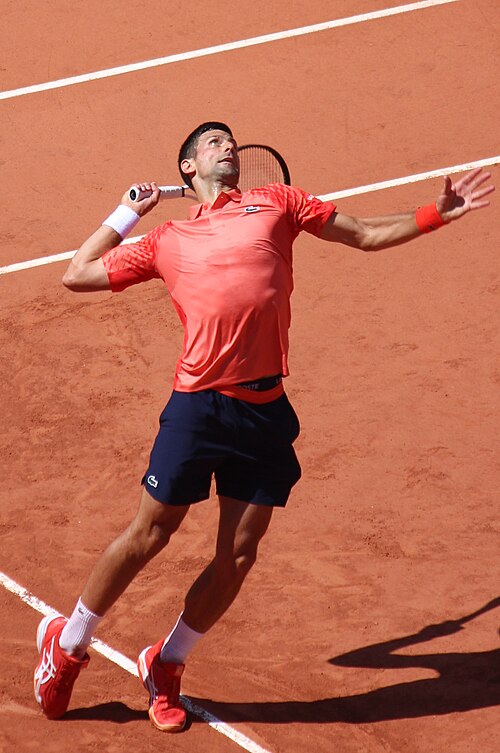 File:Novak Djoković Roland Garros 2023 cropped2.jpg