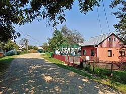 A road in Pleșa