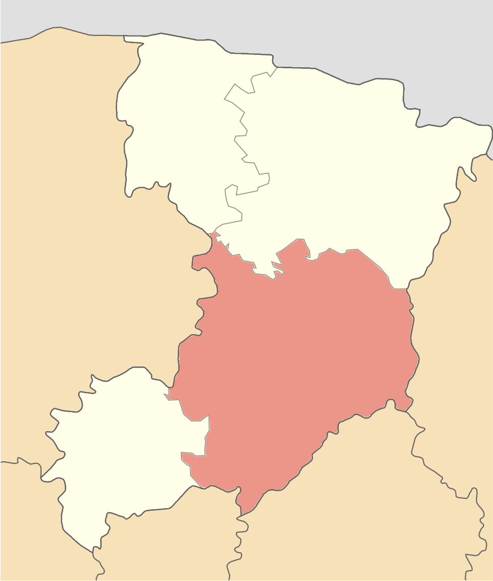 File:Rivne Raion 2020.svg