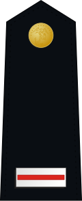 File:US Marine W-5 shoulderboard dress.svg