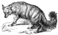 Thumbnail for version as of 11:51, 10 September 2005