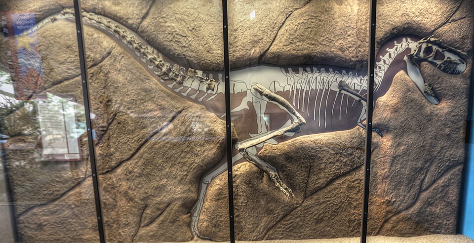 File:Bistahieversor mount.jpg