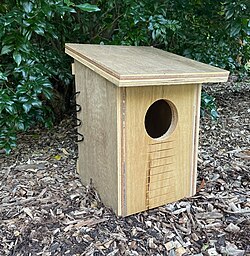 Brushtail Possum Nest Box