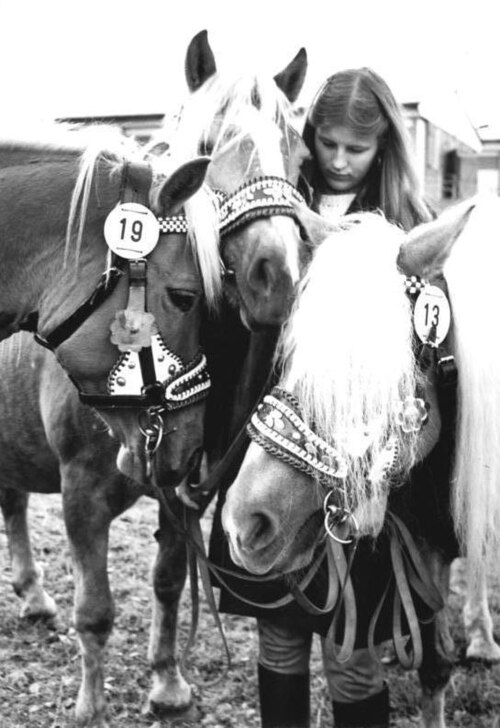 File:Bundesarchiv Bild 183-1986-1015-004, Auszubildende mit Stuten.jpg