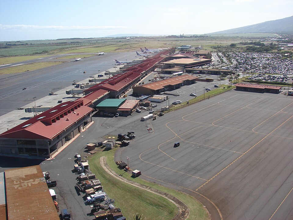 File:Starr-090226-4047-Delonix regia-habitat-Kahului Airport-Maui (24315727774).jpg