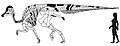 Thumbnail for version as of 12:20, 7 March 2013