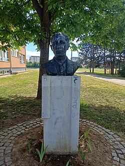 Bust of Trajko Stamenković in Leskovac