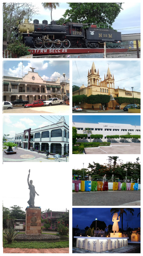 File:CollageTBV.png