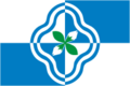 Flag of Rodnikovsky District