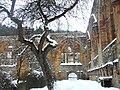 Gnadenberg Winter Klosterkirche von innen