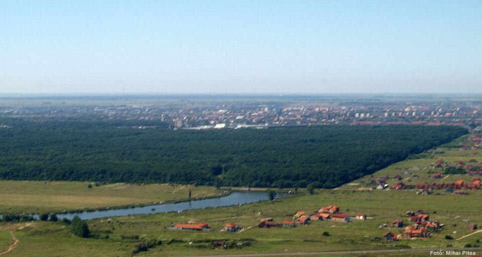 File:Lacul Dumbrăvița.jpg