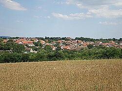 Overview of Garevo