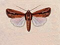 Thumbnail for version as of 10:45, 9 March 2012