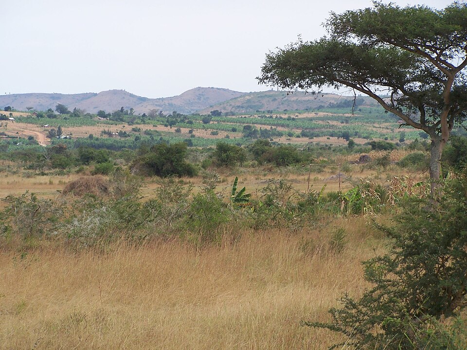 File:Mbarara Uganda Lake Mburo National Park.jpg