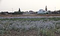 Thumbnail for version as of 10:20, 23 October 2013