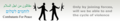 Thumbnail for version as of 18:38, 24 November 2014