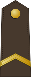 File:Latvia-Army-OR-3.svg