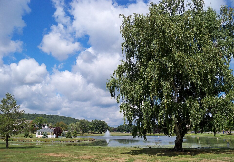 File:Monroe NY park 5.jpg