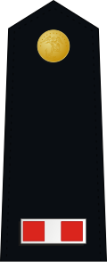 File:US Marine W-3 shoulderboard dress.svg