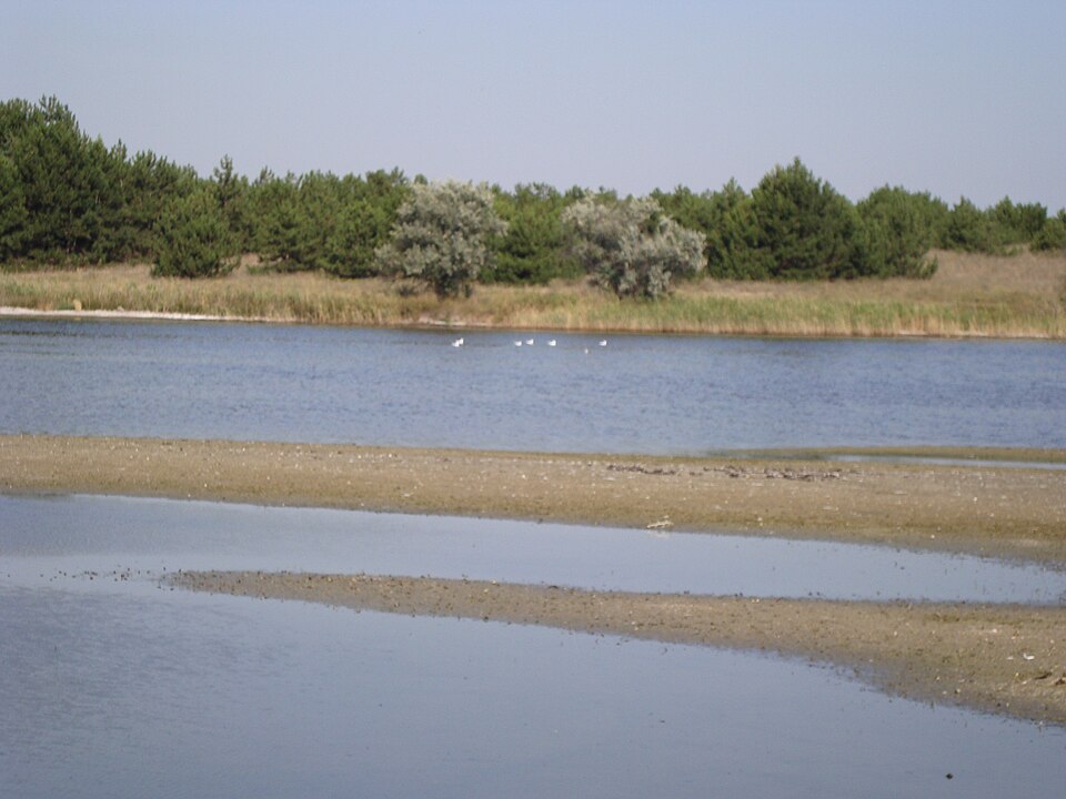 File:Кінбурнська коса 05125.JPG