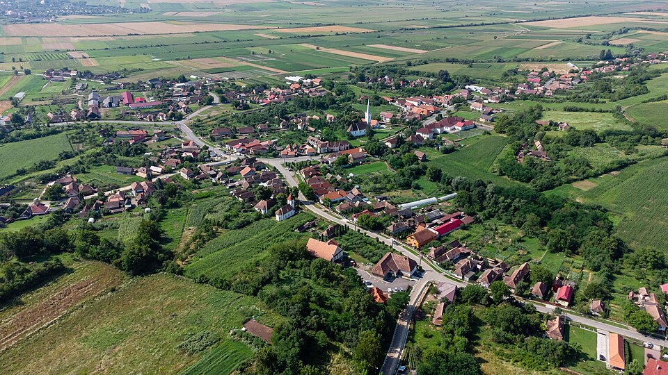 File:Backamadaras 2.jpg