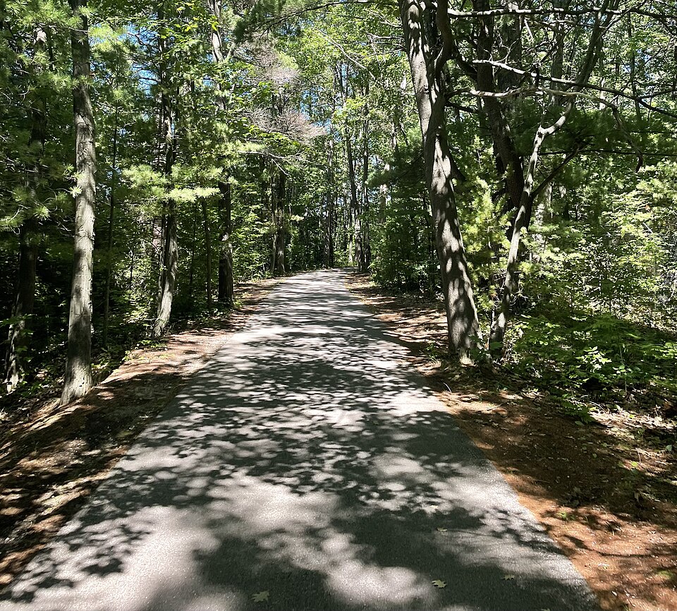File:Boardman Lake Trail Traverse City.jpg