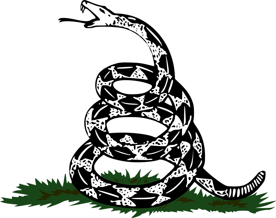 File:Gadsden flag detail.svg