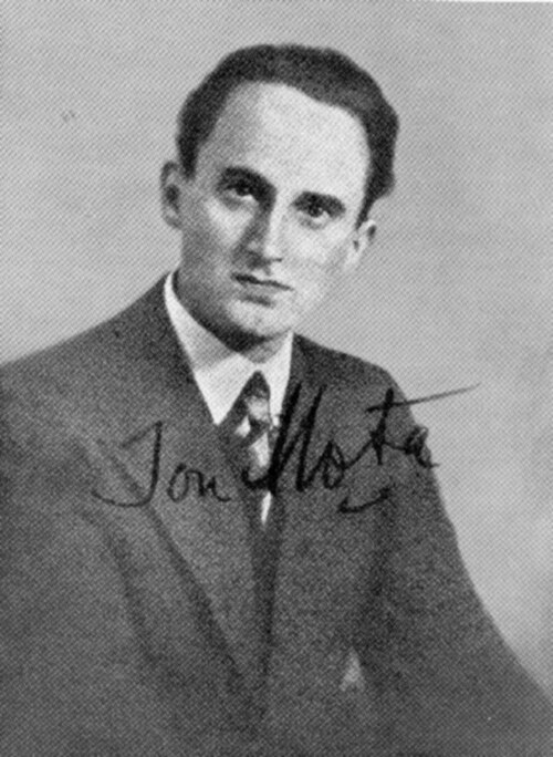 File:Ion Mota.jpeg