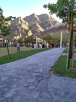 One of the Pathways