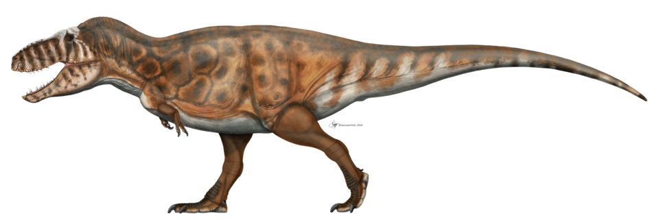 File:Tarbosaurus baatar paleoart (2024).png