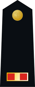 File:US Marine W-1 shoulderboard dress.svg