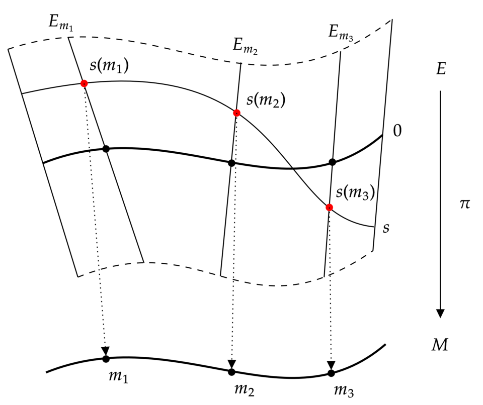 File:Vector bundle with section.png