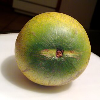 The short-stemmed fruit breaks off cleanly.