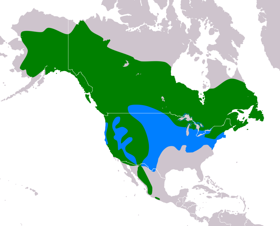 File:Accipiter atricapillus map.png
