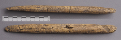 Replica of a Clovis beveled bone rod from the East Wenatchee site