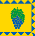 Flag of Vynnyky