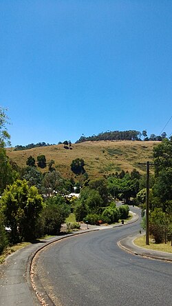 Homes on the undulating street of Marshall Street with a view of Harmony Hills in the background.
