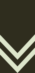 File:Seychelles Army OR-04 (2018).svg