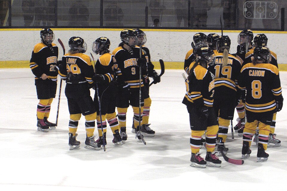 File:Boston 4-2 Montréal- 19 novembre-2011.jpg
